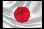 Opcion 4