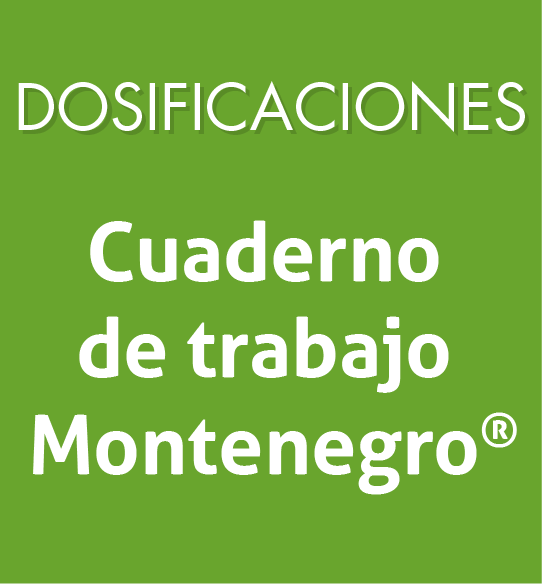 Cuaderno de trabajo Montenegro